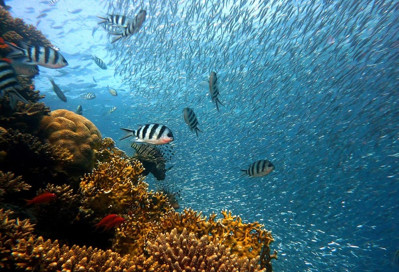 Underwater Hotels